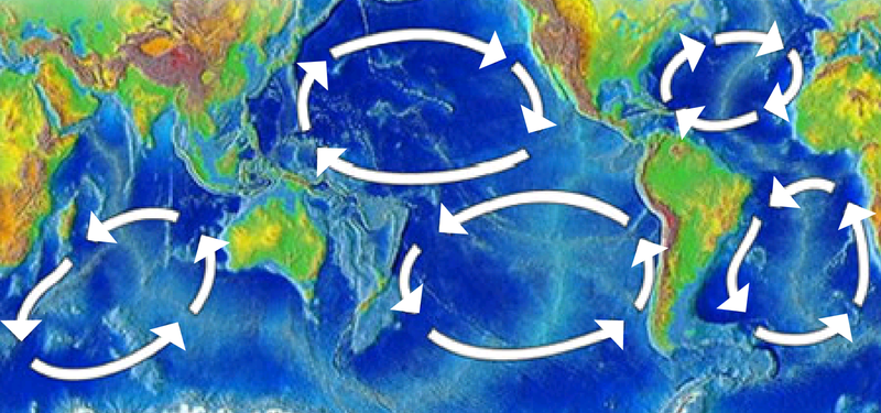 The Great Pacific Garbage Patch: Ocean Plastic from the US to Japan!