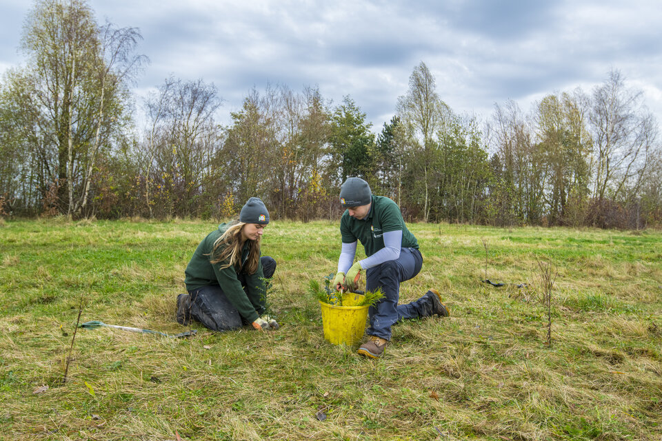 500 hectare planting boost for England’s Community Forests