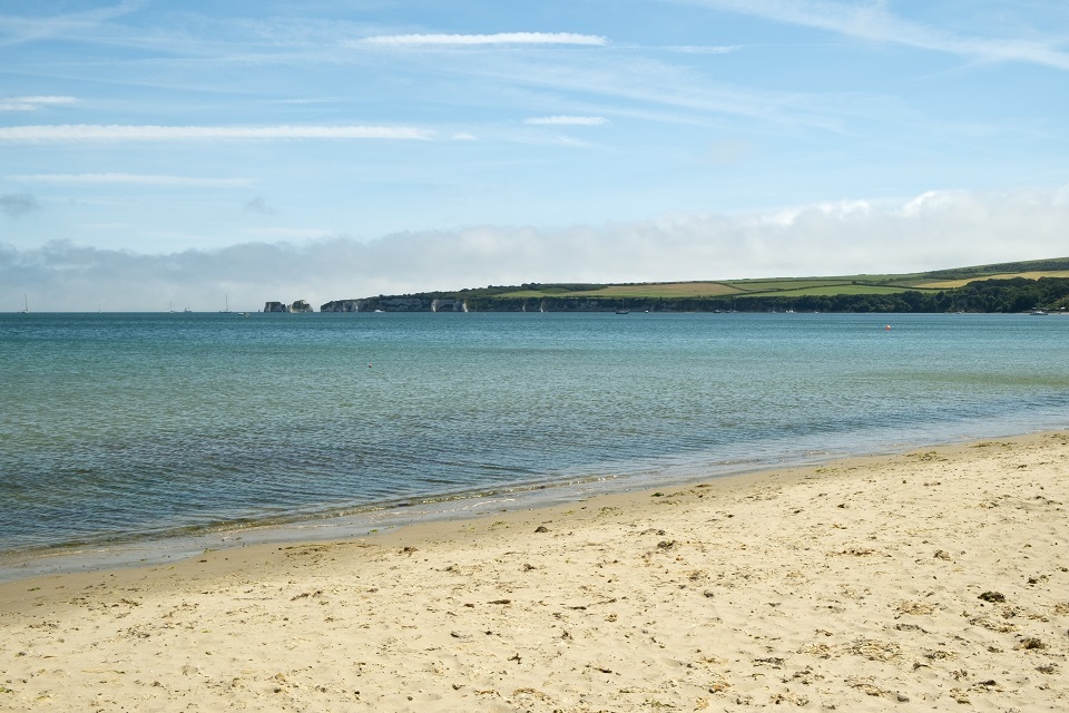 The MMO introduces the Studland Bay Marine Conservation Zone Habitat Protection Strategy