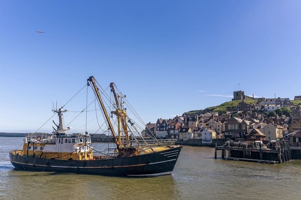 Profitable and sustainable future for UK fishing industry