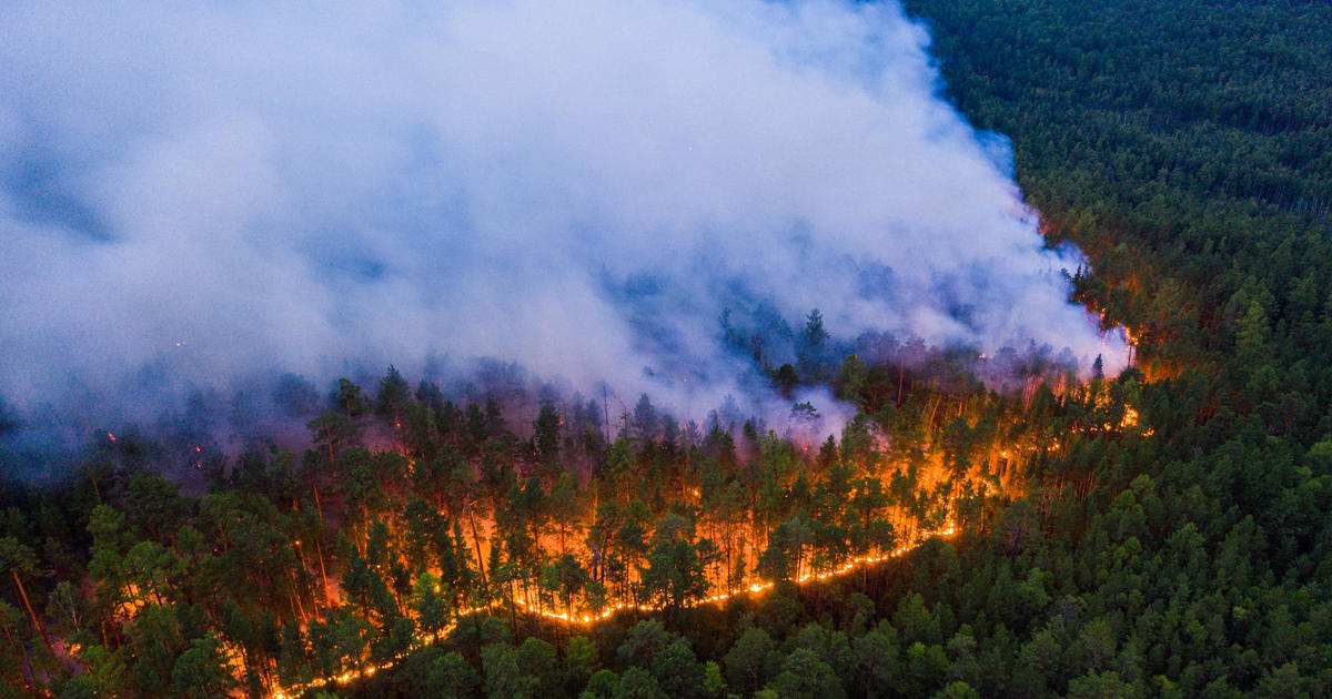 "Zombie fires" spark highest-ever carbon emissions in Arctic