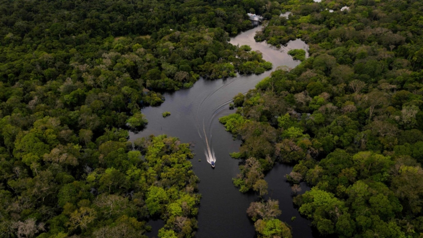 Damaged Amazon rainforest teetering on the brink