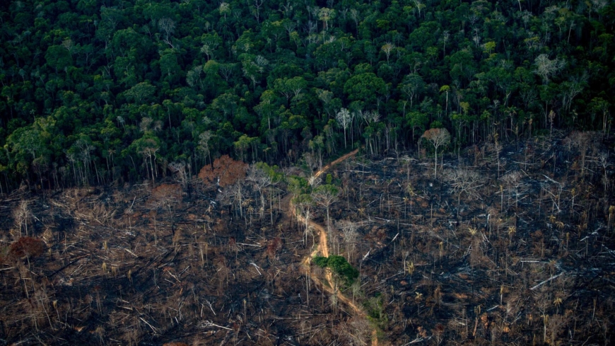 How world leaders can make their COP26 deforestation pledge a reality
