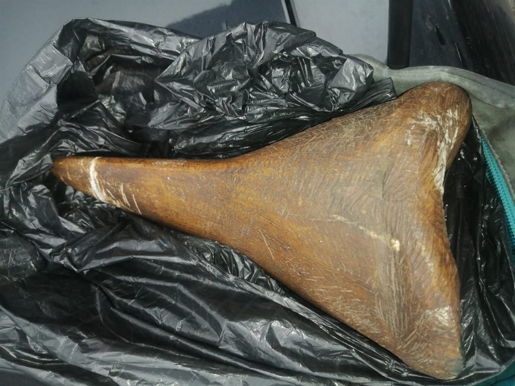 News24.com | North West official arrested for allegedly dealing in and transporting rhino horns