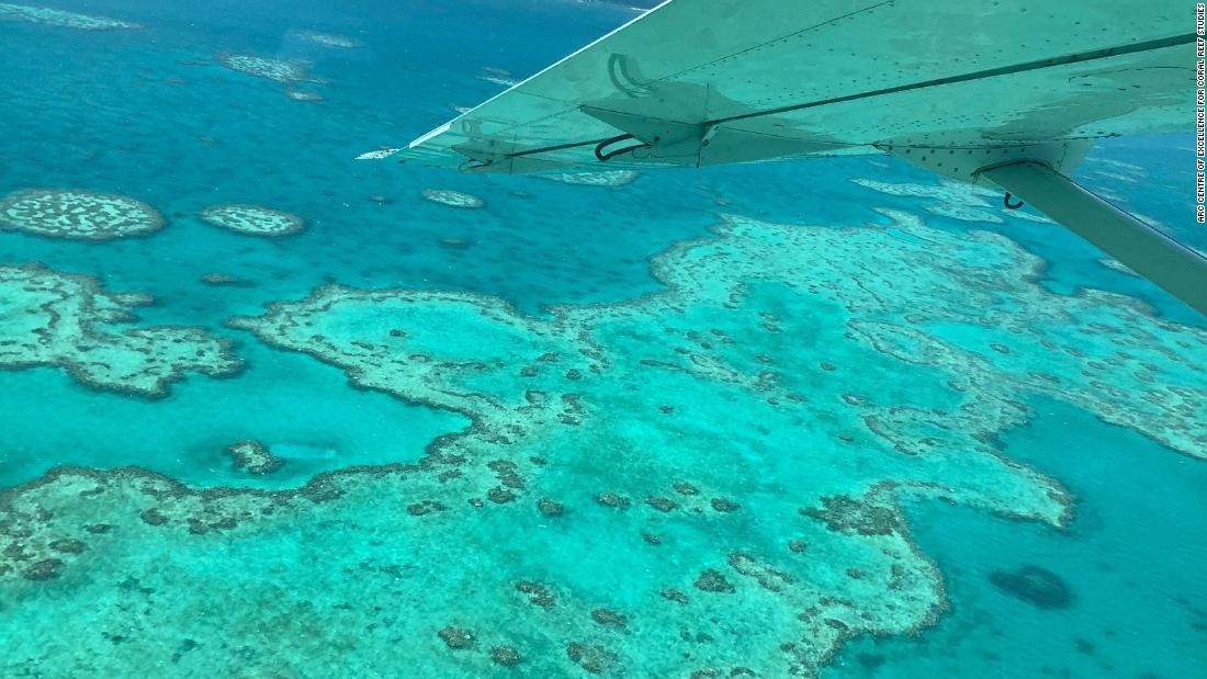 Great Barrier Reef suffers third mass bleaching event in five years