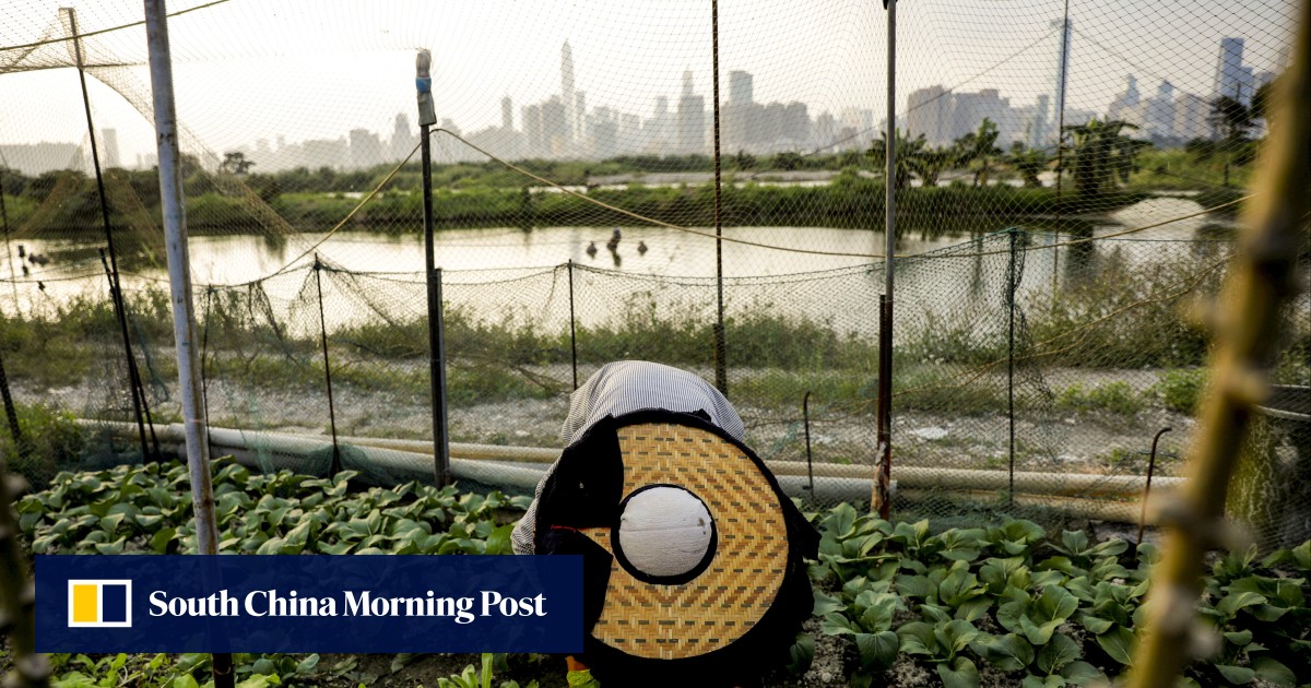 Why Hong Kong should be hot for hi-tech agriculture in a warming world