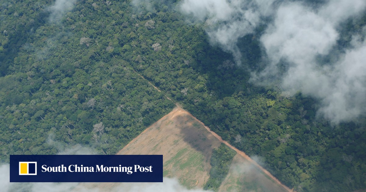 Facebook bans sales of Amazon rainforest on its apps
