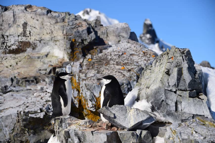 Antarctica registers record temperature of 20.75 degrees Celsius