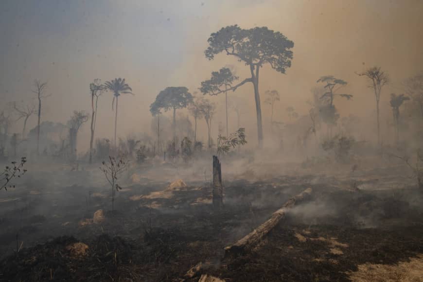 Mapping environmental crime seen as key to slowing Amazon forest losses
