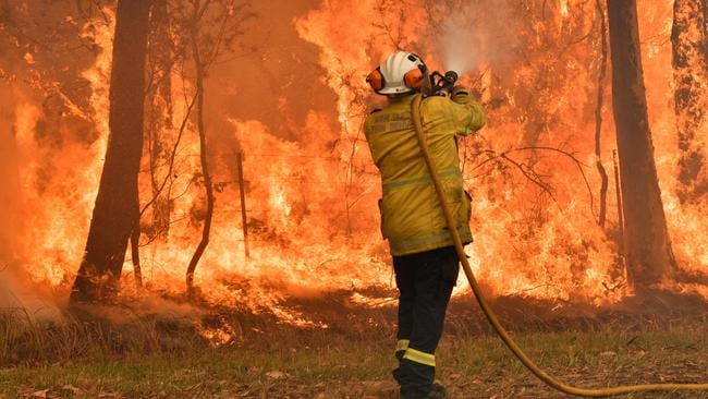 Australian bushfires: Biggest myths debunked