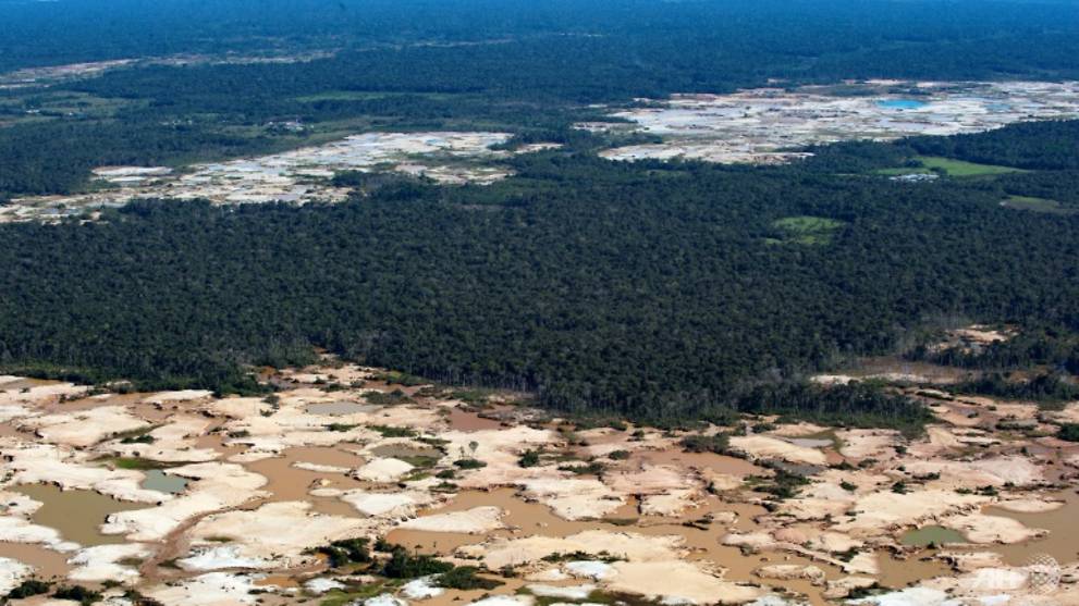 Close to tipping point, Amazon rainforest could collapse in 50 years