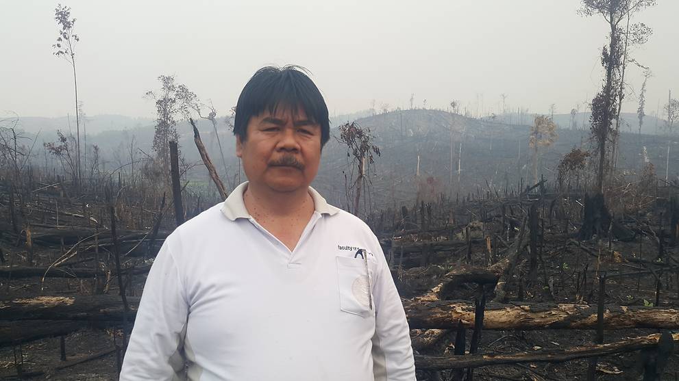 Death threats, intimidation not a deterrence to scientist's mission to save Indonesia forests