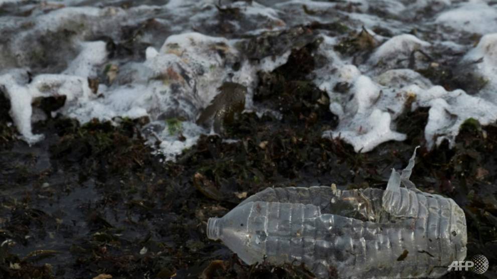 Atlantic plastic levels far higher than thought: Study