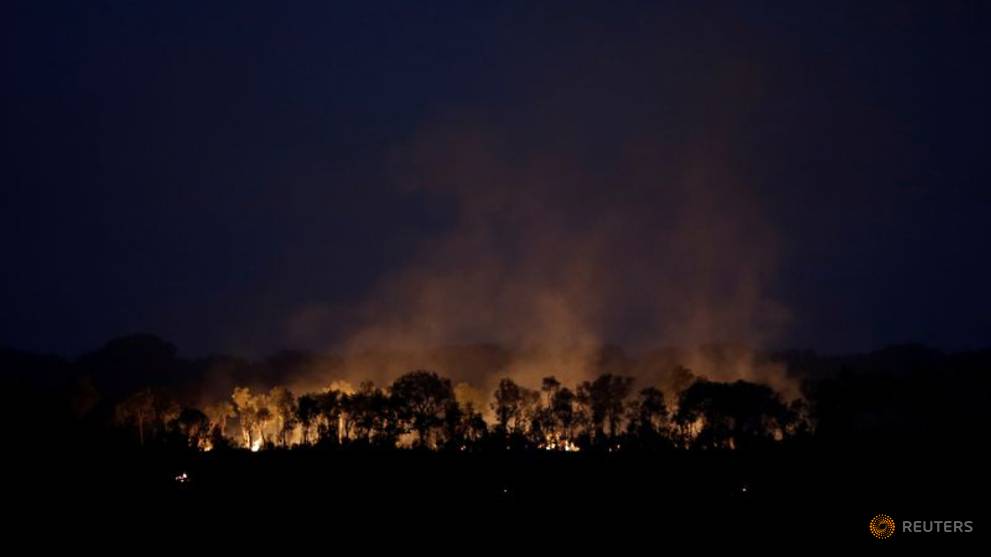 Brazil Amazon fires likely worst in 10 years, August data incomplete, government researcher says
