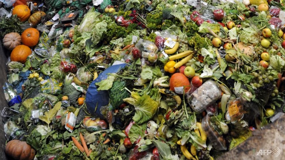 NEA launches fund to help subsidise cost of installing food waste treatment systems
