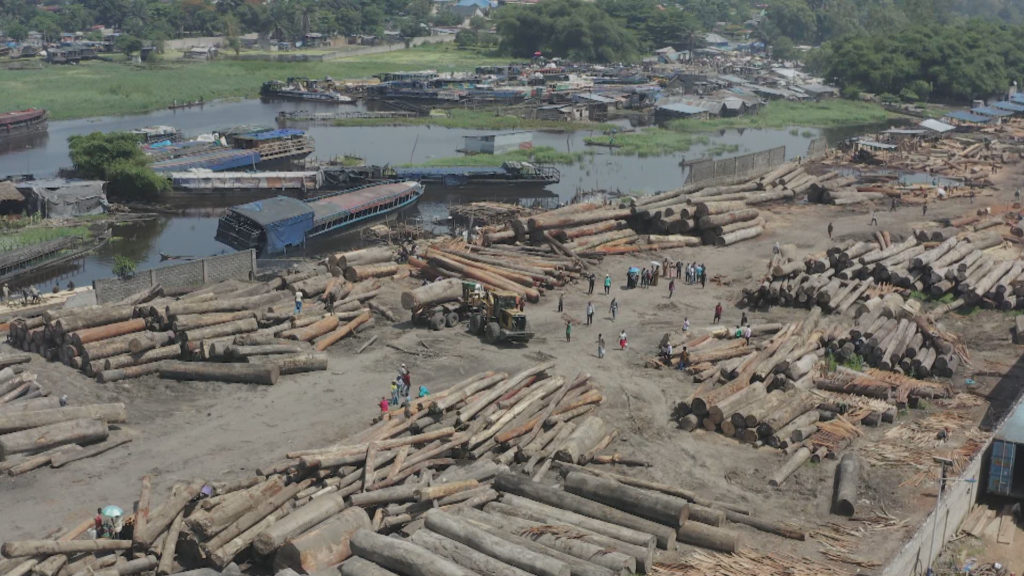 Widespread logging threatens the Congo Basin's critical rainforest