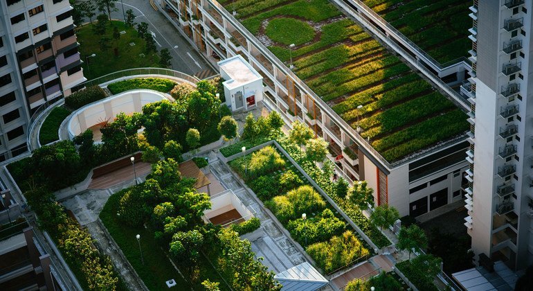 Guterres highlights ‘enormous’ benefits of greener cities