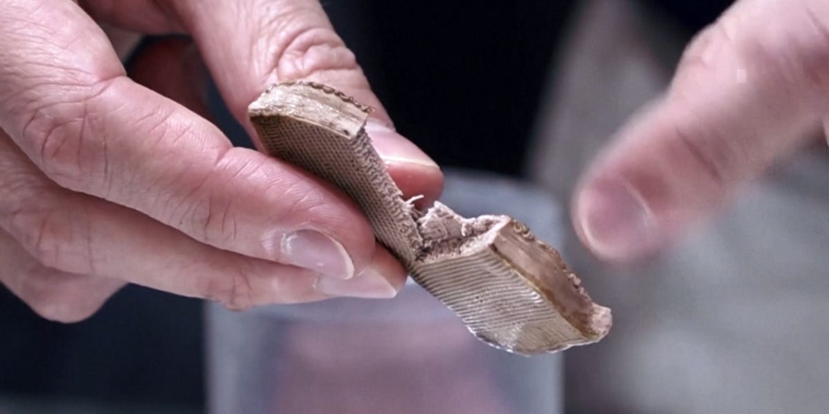 A Spanish startup is developing 3D-printable steak made from plants