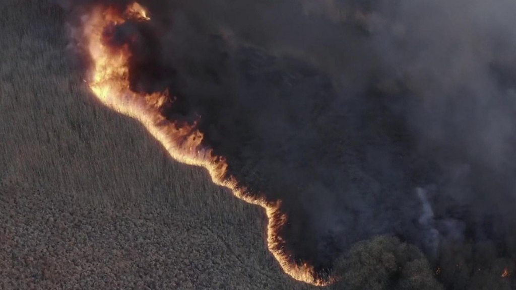 Chernobyl: Ukraine officials calls for calm as fire rages