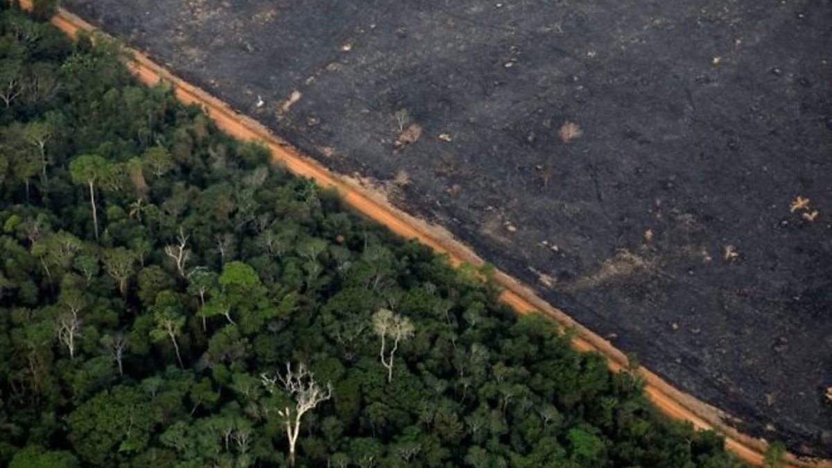 Amazon deforestation remains high despite rains