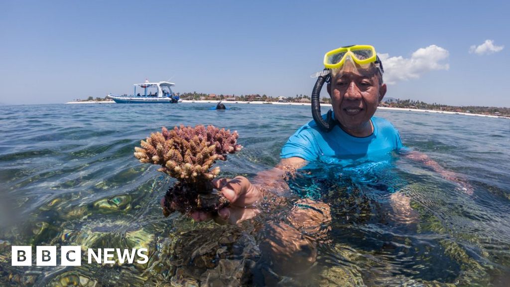 'After the coral ban, I lost everything'