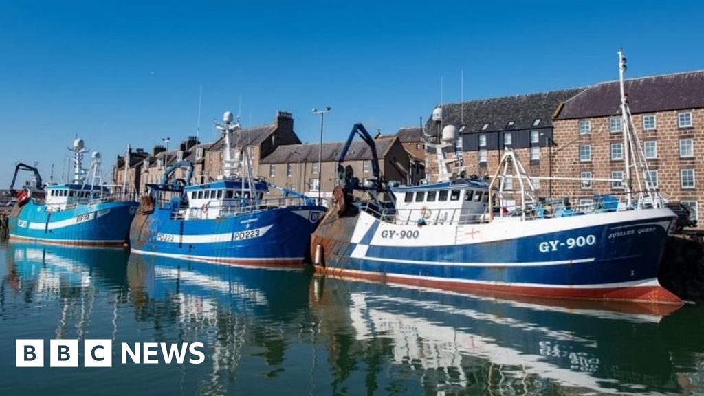 Brexit: Fisheries Bill to enshrine sustainability in law