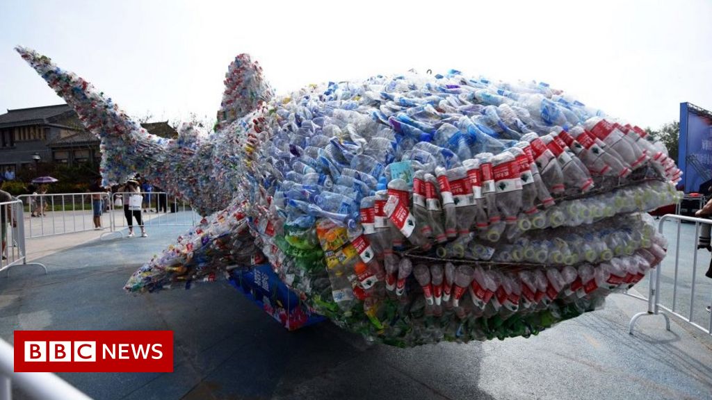 Plastic: How to predict threats to animals in oceans and rivers