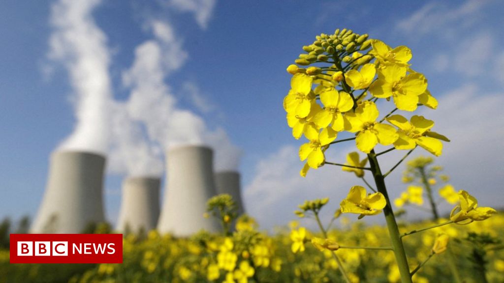 Climate change: EU moves to label nuclear and gas as sustainable despite internal row