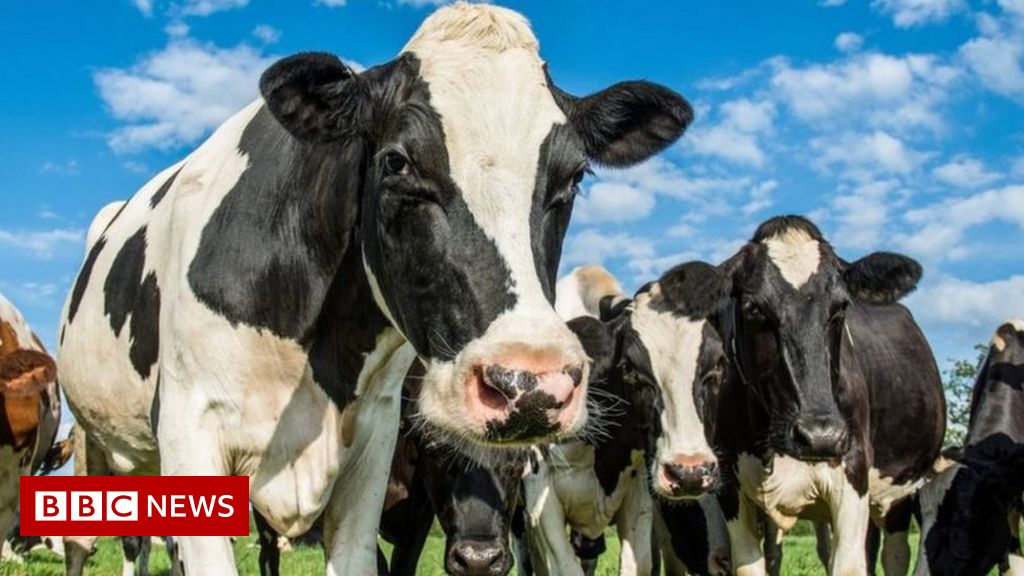 Farming faces 'historic' shift to cut greenhouse gas emissions