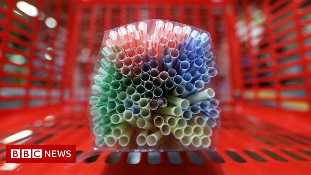 Single-use plastics ban in Wales unveiled
