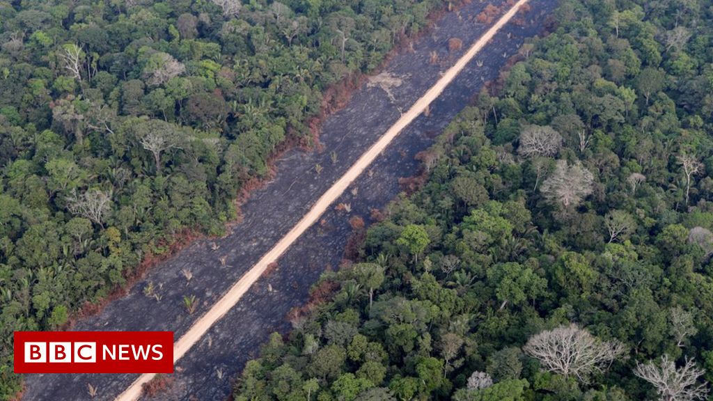 Brazil cuts environment budget despite climate summit pledge