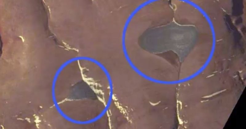 Global Warming Causes Two Ice Caps In The Canadian Arctic To Completely Vanish