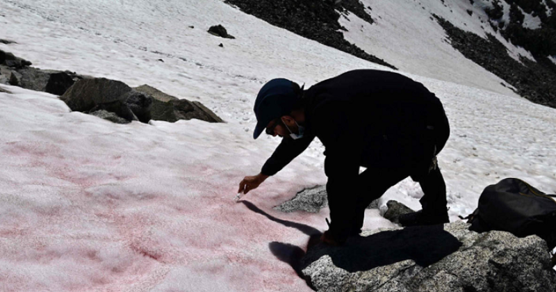 Pink Ice Caused By Algae In Italy's Alps Is Leaving Scientists Baffled