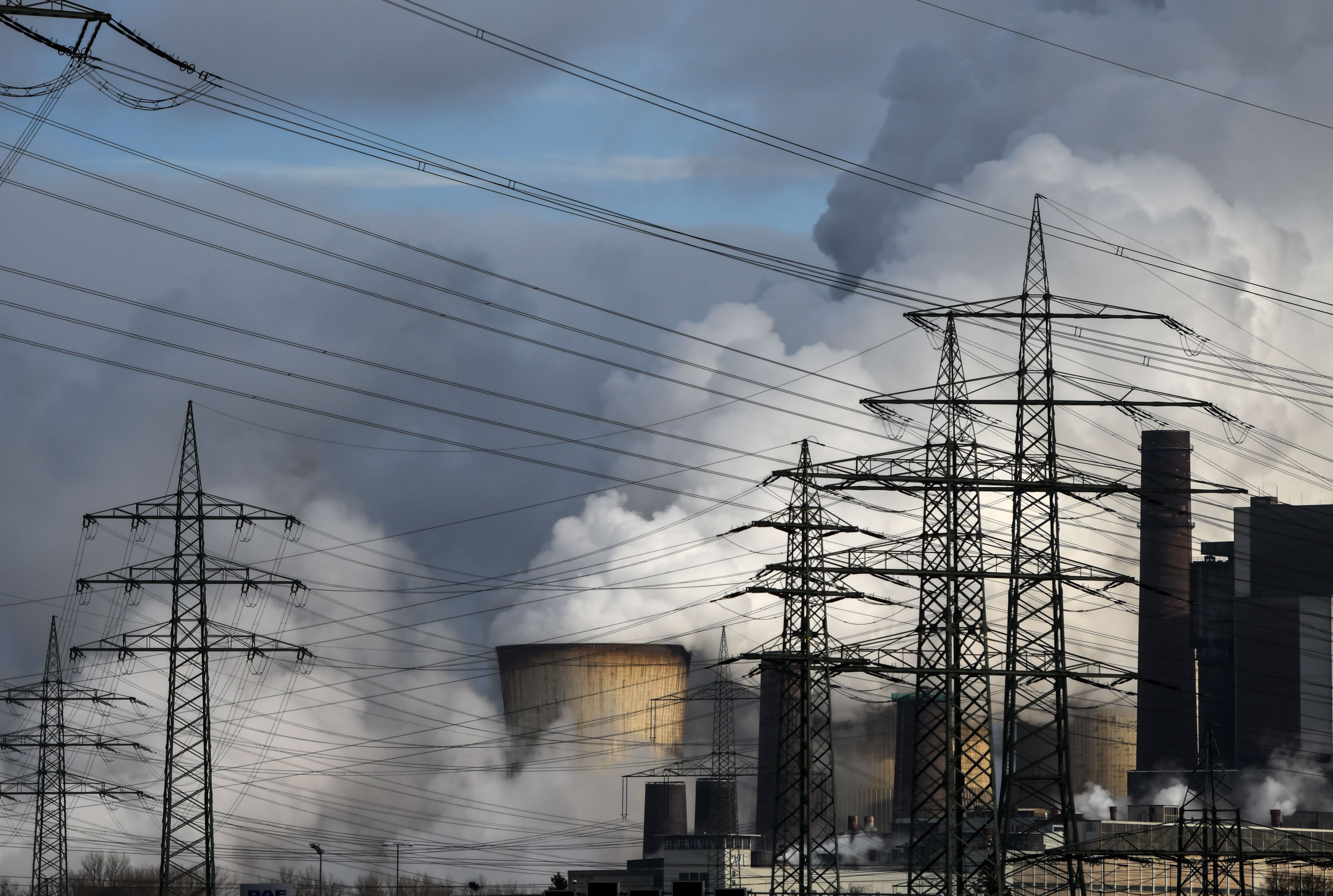 Why the world's largest carbon market is experiencing a boom like never before