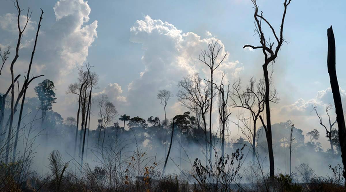 Amazon Fires Cause Brazil’s CO2 Emissions to Jump Amid Pandemic