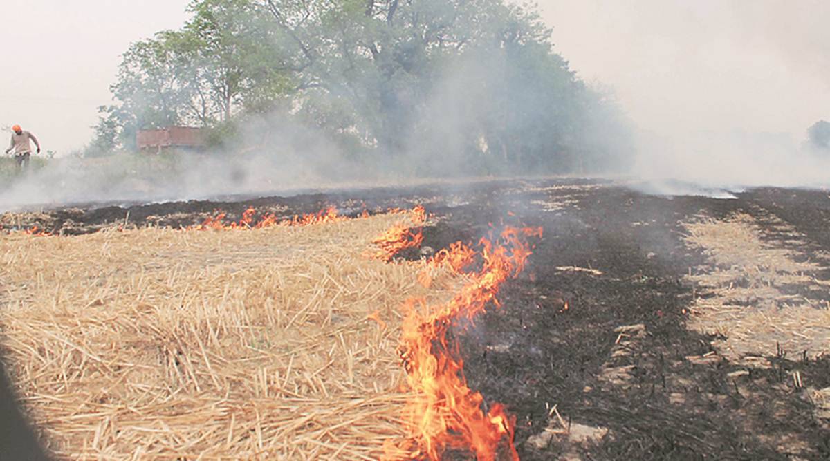Ahead of winter, stubble burning back in focus