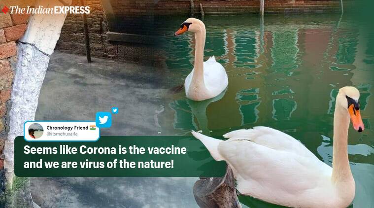 ‘Even the dolphins are back’: Amid coronavirus lockdown, Venice counts the positives