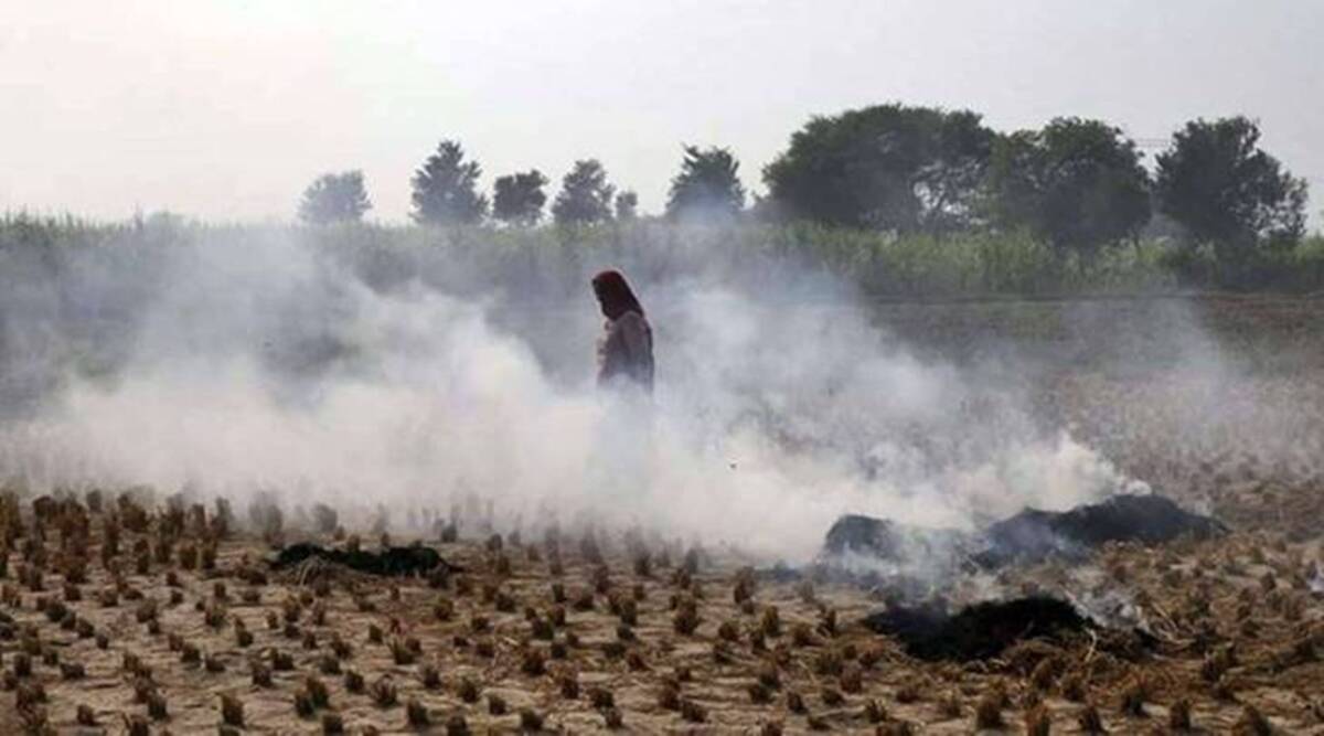 Stubble burning effect: AQI deteriorates in Chandigarh