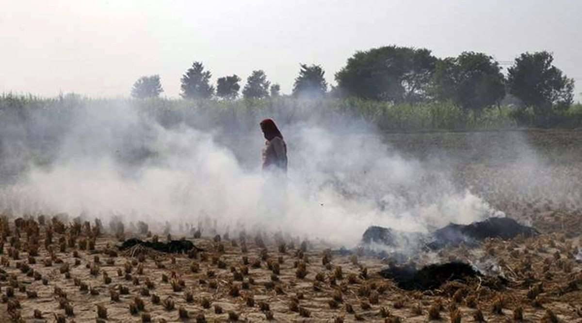 At 19%, stubble burning adds to capital’s ‘poor’ air quality
