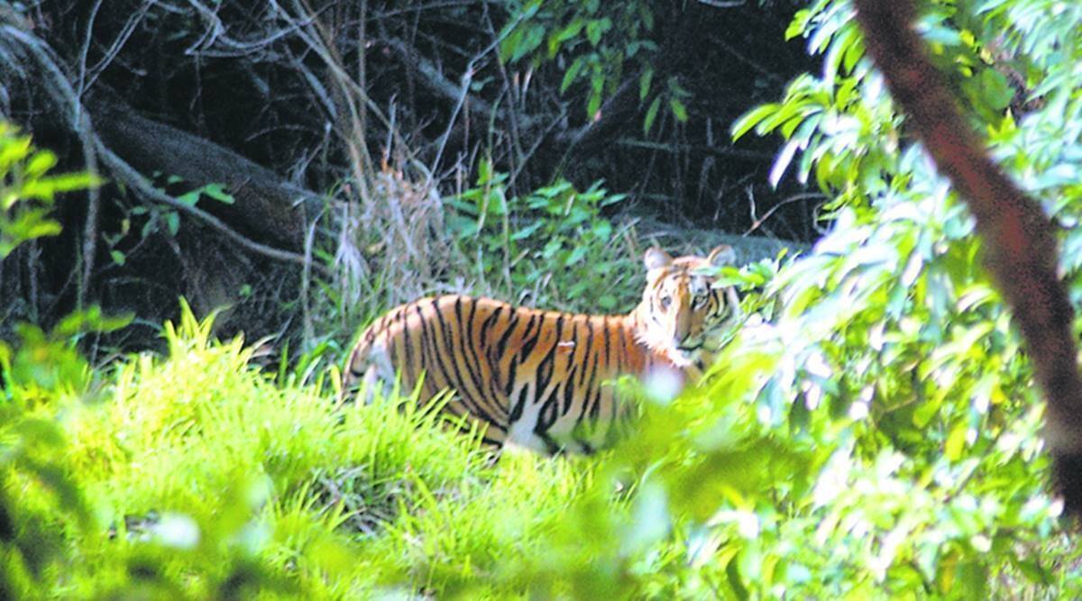 Maharashtra first state to release its own Wildlife Action Plan