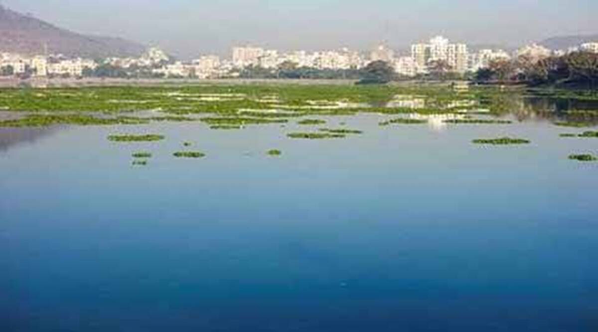 Habitat alteration, unchecked sewage discharge led to decline in thriving zooplankton in Pashan lake, finds study