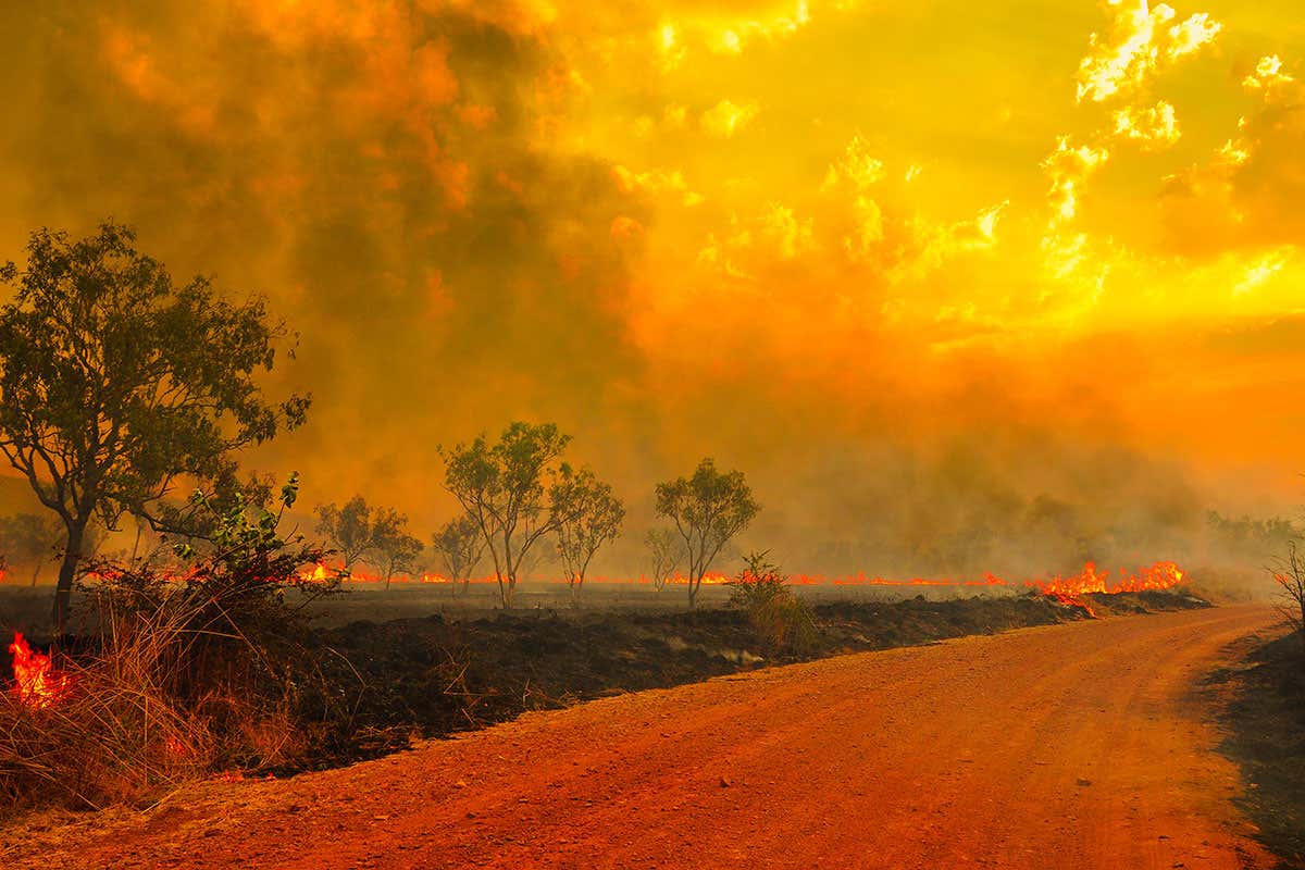 Climate change made Australian bushfires more likely, says report