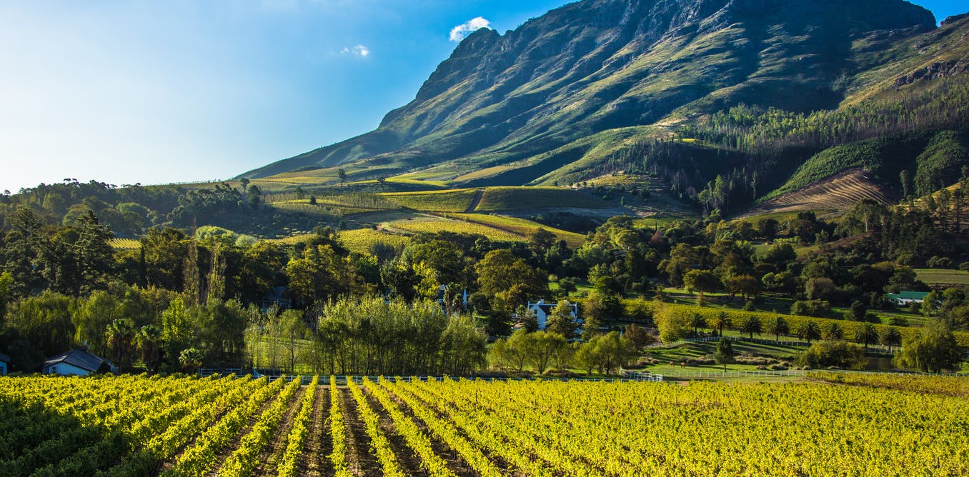 South Africa’s land reform policies need to embrace social, economic and ecological sustainability