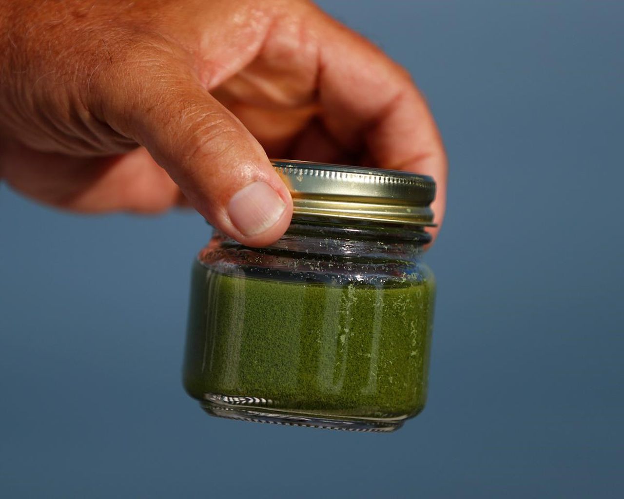 Ohio’s toxic algae plan could give other states a blueprint