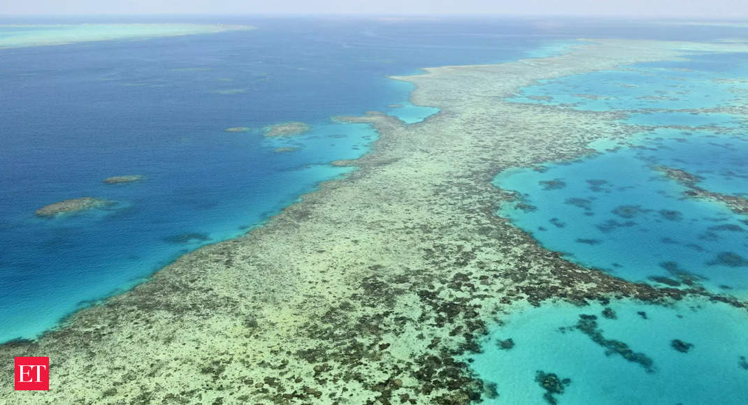 Australia hits out at threatened UN downgrade of Great Barrier Reef