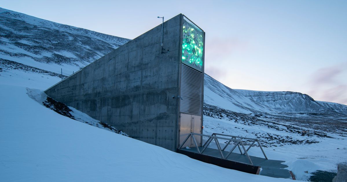 How This Arctic ‘Doomsday Vault’ Could Save Us From A Global Food Crisis