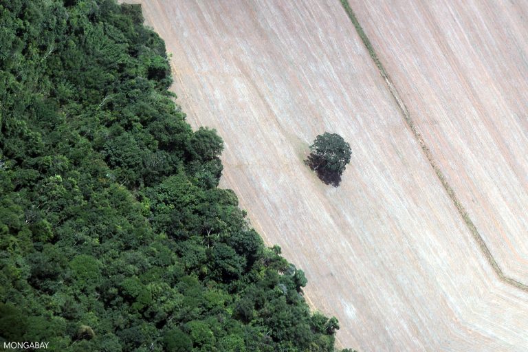 Norwegian poultry producer bars Brazilian soy due to deforestation risk