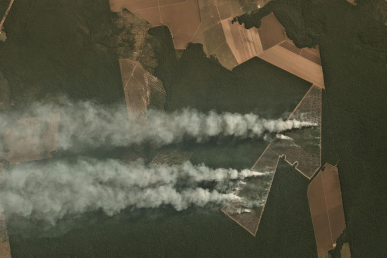 The view from above: How do we know what’s really burning in the Amazon?