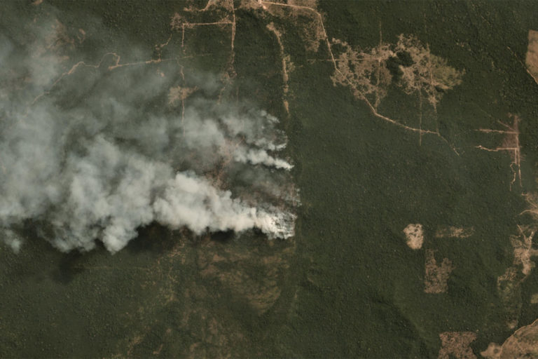Amazon deforestation rises modestly in June