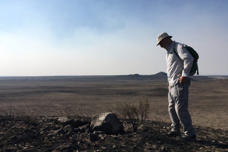 Fires turn sage brush habitat in Washington into a scorched ‘oblivion’